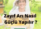 Zayıf Arı Nasıl Güçlü Yapılır