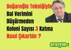 Doğaroğlu Tekniğiyle Bal  Verimini Düşürmeden Koloni Sayısını Üçe Katla