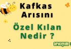 Kafkas Arı Irkı Özellikleri