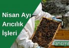 Nisan Ayı Arı Bakımı