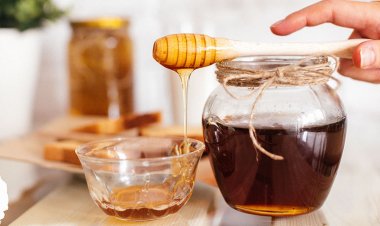 Balın Bilimsel Çalışmalarla Kanıtlanmış  Faydaları