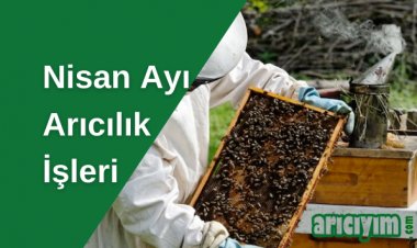 Nisan Ayı Arı Bakımı