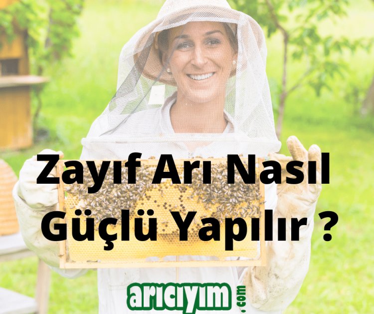 Zayıf Arı Nasıl Güçlü Yapılır