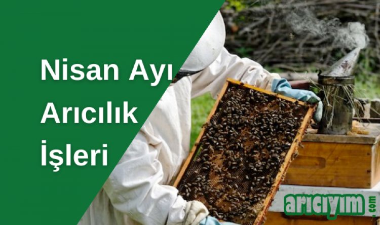 Nisan Ayı Arı Bakımı