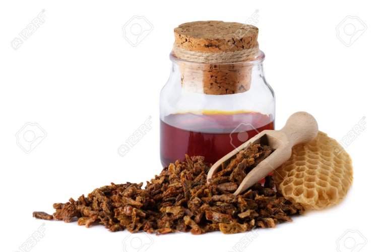 propolis kanser yararı