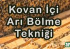 Kovan İçi  Arı  Bölme Tekniğiyle Koloni Sayısını Arttırma