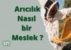 Arıcılık Nedir, Nasıl Yapılır ?