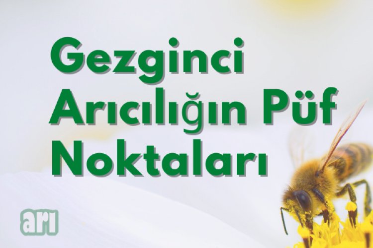 Gezgin Arıcılık Nedir, Nasıl Yapılır