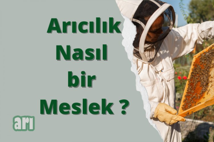 Arıcılık Nedir, Nasıl Yapılır ?