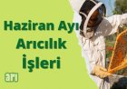 Haziran Ayı Arıcılık İşleri