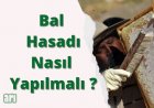 Bal Hasadı Nasıl Yapılır