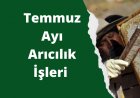 Temmuz Ayı Arıcılık İşleri