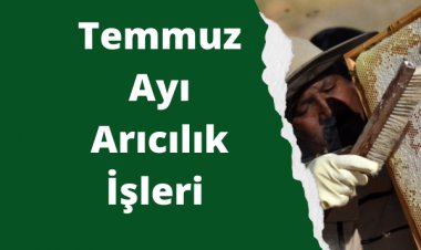 Temmuz Ayı Arıcılık İşleri