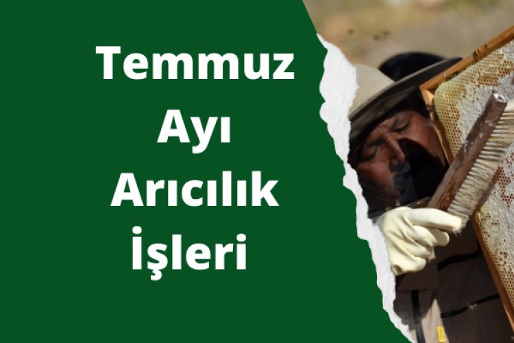 Temmuz Ayı Arıcılık İşleri