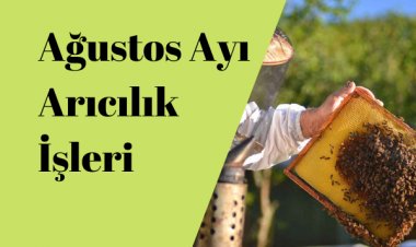 Ağustos Ayı Arıcılık Faaliyetleri