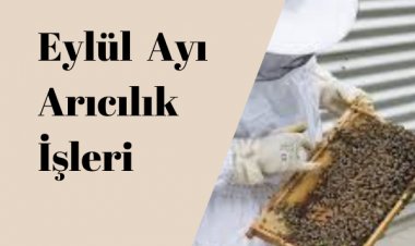 Eylül Ayı Arıcılık İşleri