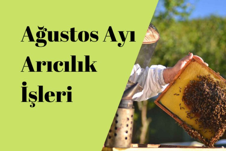 Ağustos Ayı Arıcılık Faaliyetleri