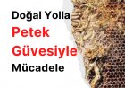 Petek Güvesiyle Doğal Yolla Nasıl Mücadele Edilir