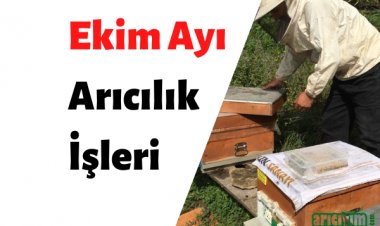Ekim Ayı Arıcılık İşleri