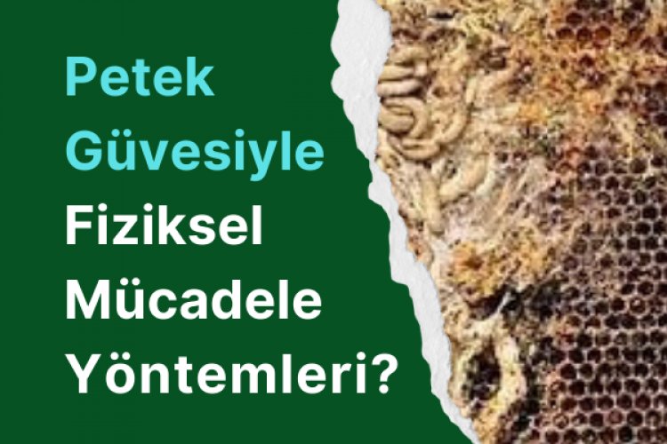 Petek Güvesiyle Fiziksel Mücadele Yöntemleri