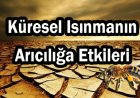 Küresel Isınmanın Arıcılık Sektörüne Etkileri ve Alınabilecek Önlemler