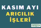 Kasım Ayı Arıcılık İŞleri