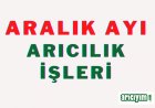 Aralık Ayı Arıcılık İşleri