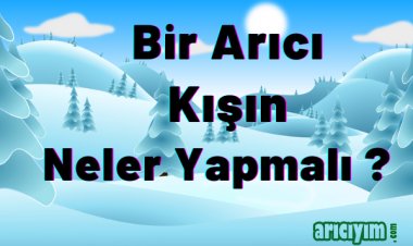 Bir Arıcı Kışın Neler Yapmalı