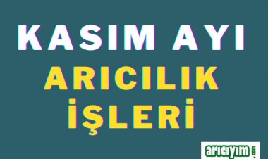 Kasım Ayı Arıcılık İŞleri