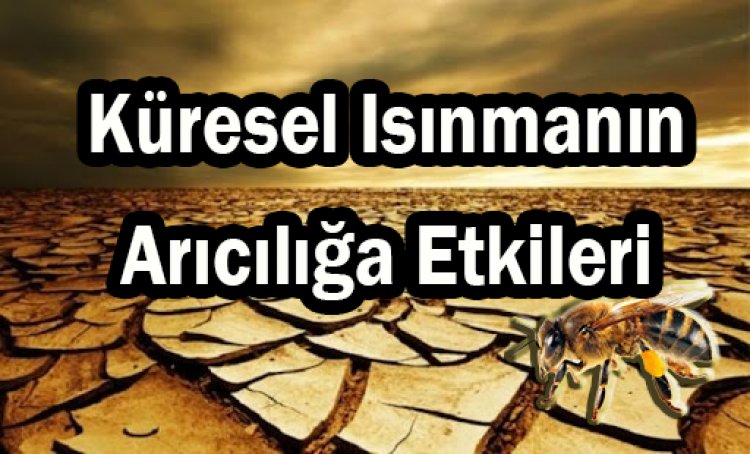 Küresel Isınmanın Arıcılık Sektörüne Etkileri ve Alınabilecek Önlemler