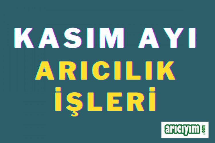 Kasım Ayı Arıcılık İŞleri