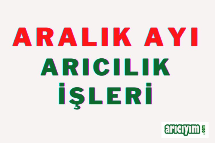 Aralık Ayı Arıcılık İşleri