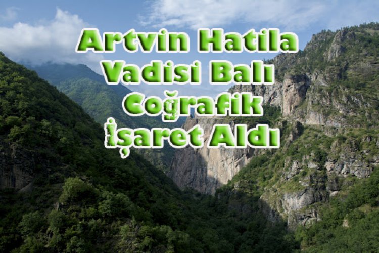 Artvin Hatila Balı Coğrafi İşaret Aldı