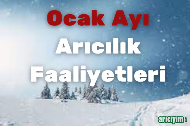  Ocak Ayı Arıcılık Faaliyetleri