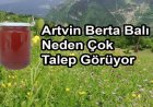 Artvin Berta Balı Nedir, Özellikleri Nelerdir?