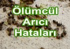 Arıcıların Yaptıkları Vahim Hatalar