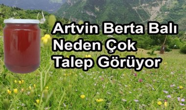 Artvin Berta Balı Nedir, Özellikleri Nelerdir?