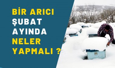 Şubat Ayı Arıcılık İşleri