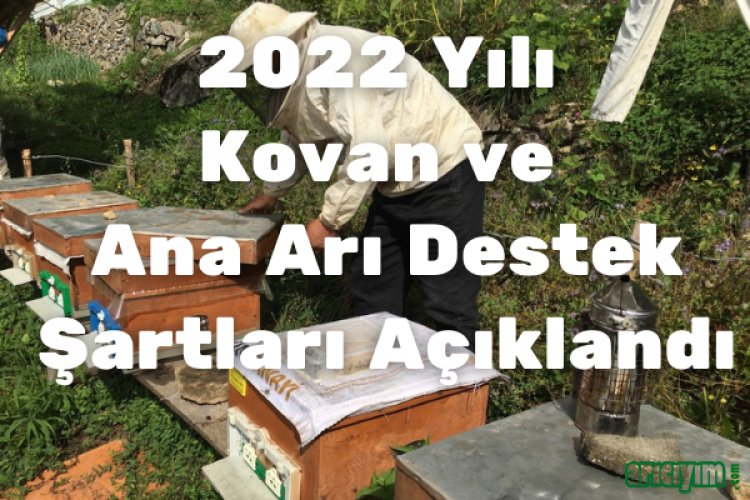 2022 Arılı Kovan ve Ana Arı Desteklemesi