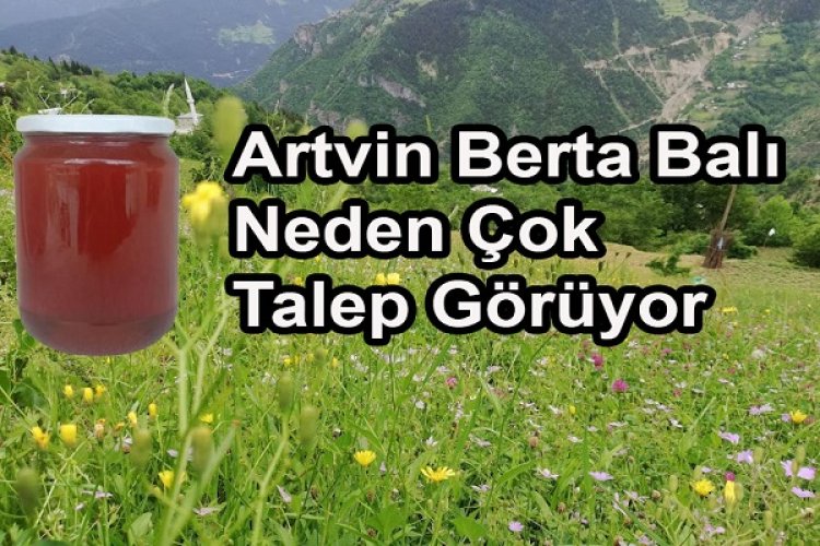Artvin Berta Balı Nedir, Özellikleri Nelerdir?