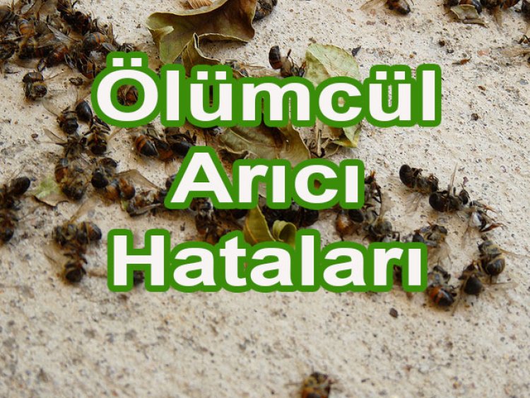 Arıcıların Yaptıkları Vahim Hatalar