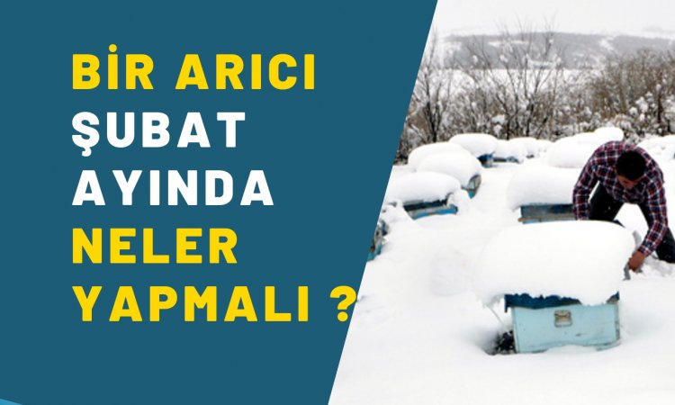 Şubat Ayı Arıcılık İşleri