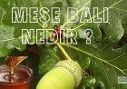 Meşe Balı  Nedir,  Faydaları Nelerdir ?