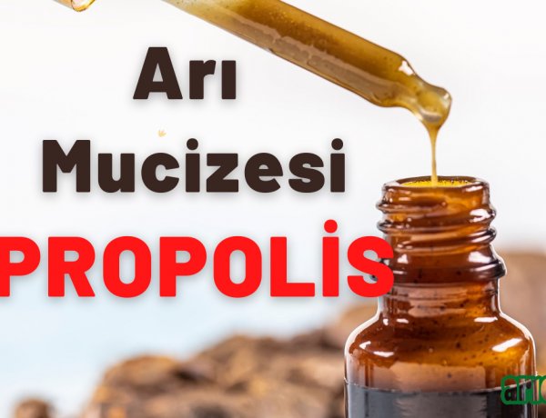 Propolis Nedir? Propolis Faydaları, İçeriği ve Kullanım Şekilleri