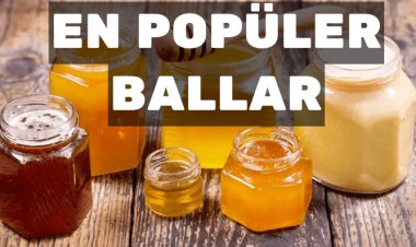 En Çok Tercih Edilen Bal Çeşitleri