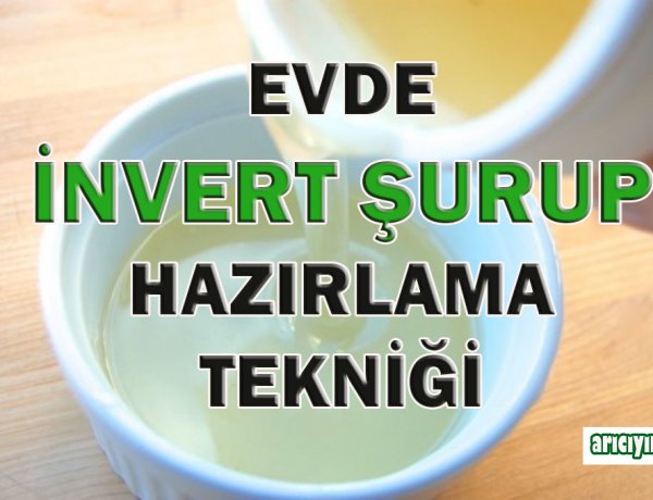 Arılar İçin İnvert Şurup Rehberi: İnvertazla Hazırlama, HMF ve Doğru Besleme