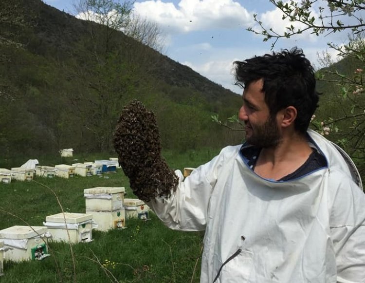 Yığılca Arı Irkı  Özellikleri