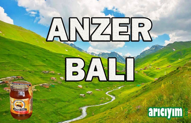 Anzer Balı Nedir, Faydaları Nelerdir