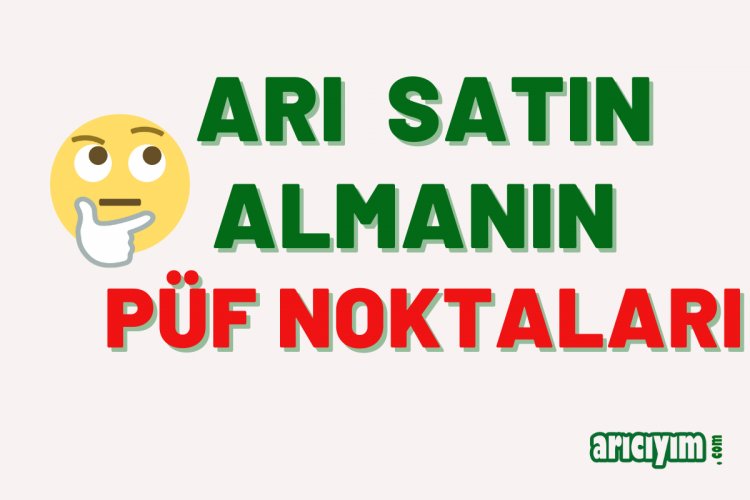 Arı Satın Alırken Nelere Dikkat Etmeliyiz?