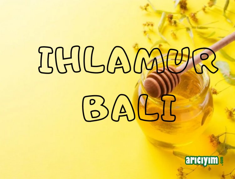 IHLAMUR BALI  NEDİR, FAYDALARI NELERDİR?